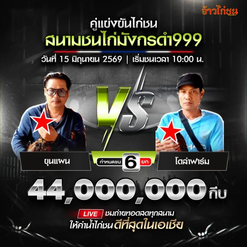 ขุนแผน พบ โดล่าฟาร์ม โปรแกรมไก่ชน สนามชนไก่มังกรดำ999 15 มิถุนายน 2026