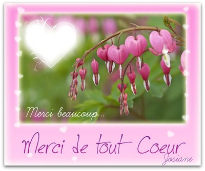 https://i.postimg.cc/VNch9JT3/2273694-37b68merci-momom.jpg