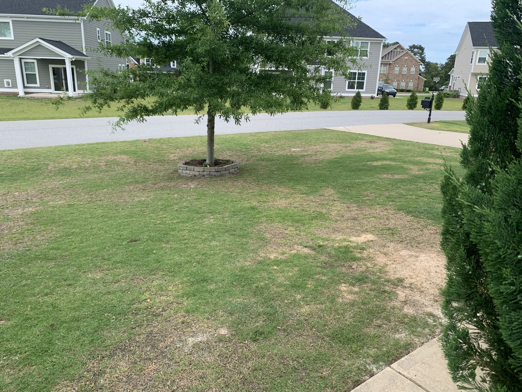 790656ED-04E1-4D78-A09A-1F8A68B58667