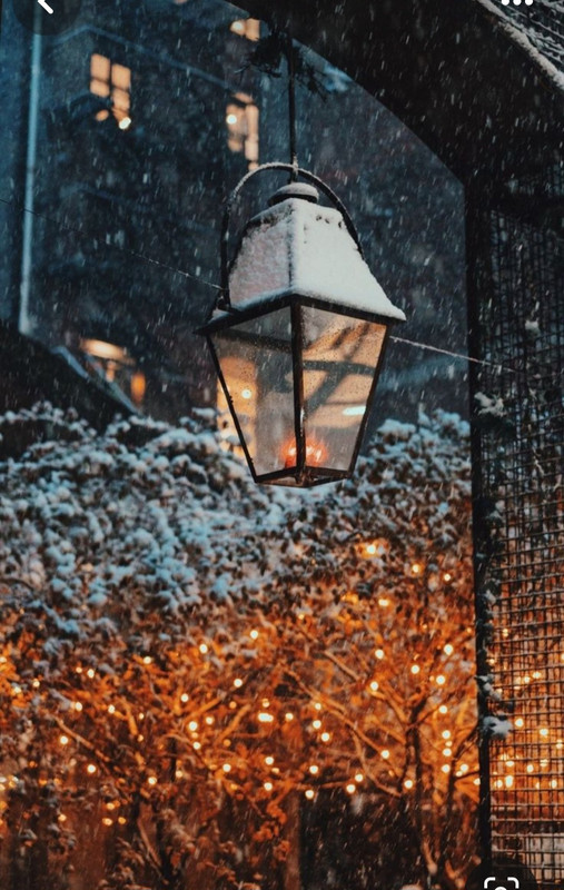 Screenshot_20231121_231514_Pinterest