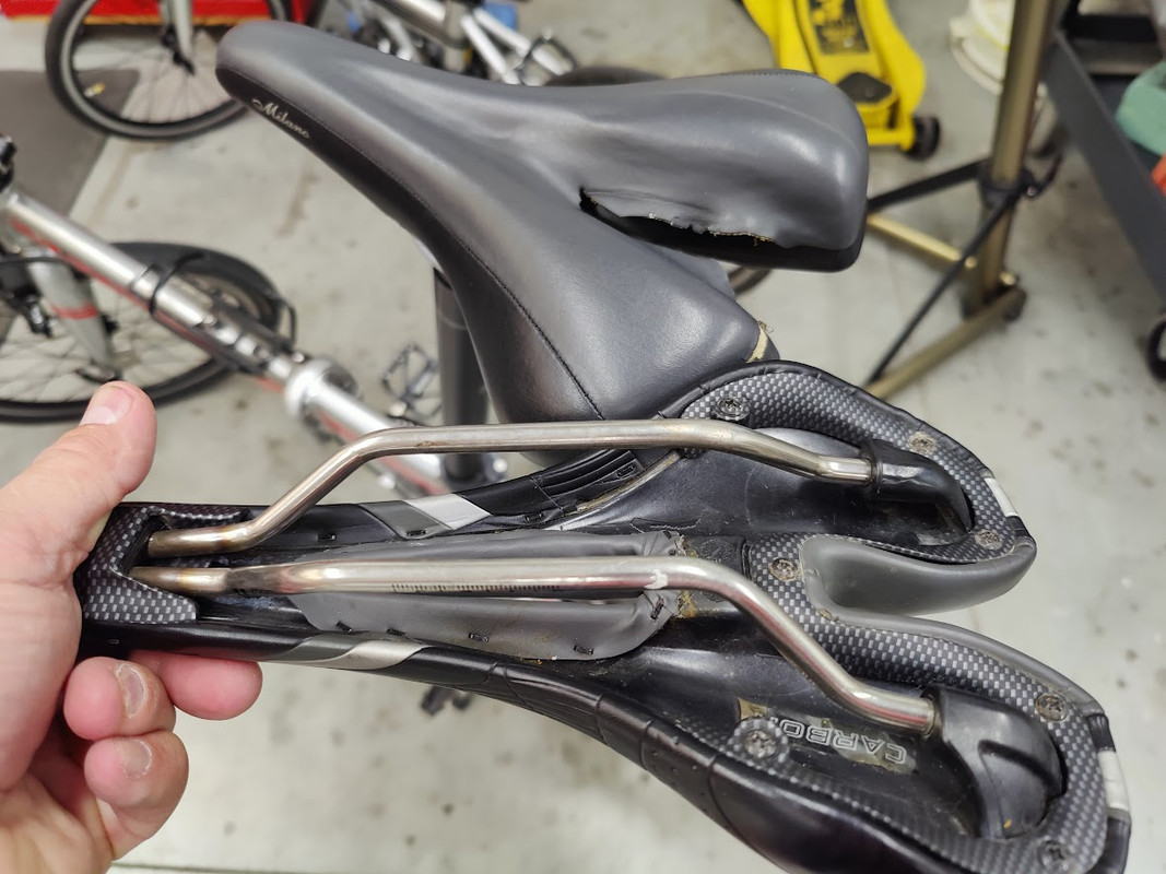 IMG20240923190908 (1)