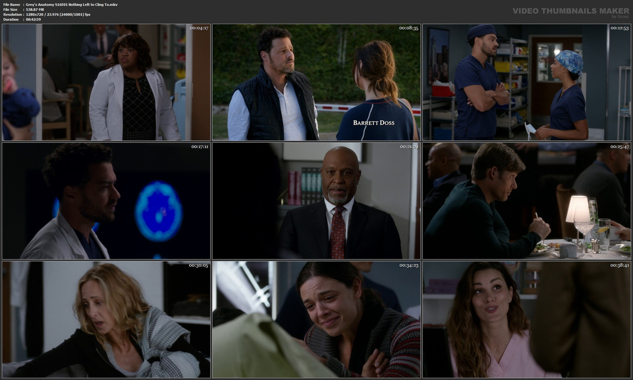 Grey's Anatomy S16E01 Nothing Left to Cling To.mkv