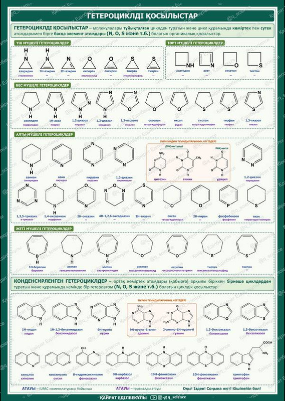 poster13