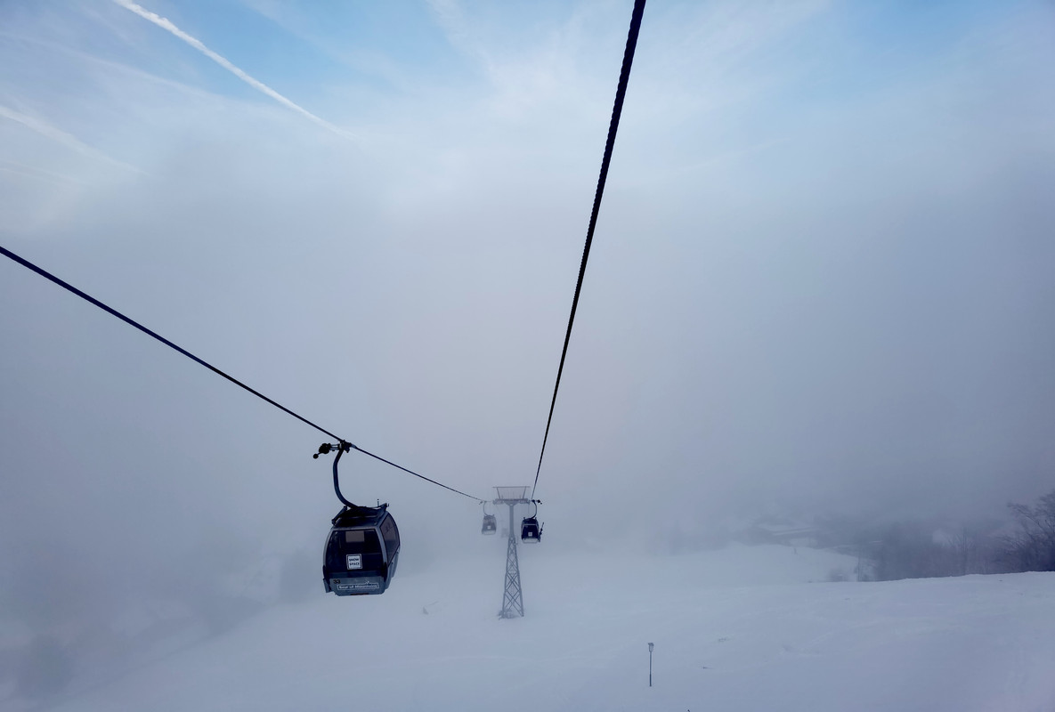 IMG_20220127_083122_edit_467145371024552