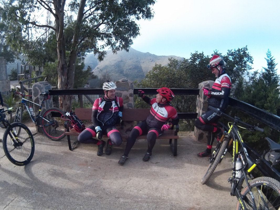 ASNOVESTRE ASNO MAVASA (9)