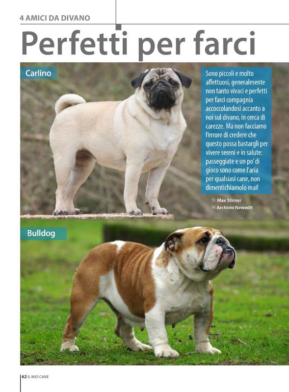 Il M C Set-Ott 2024 (5)