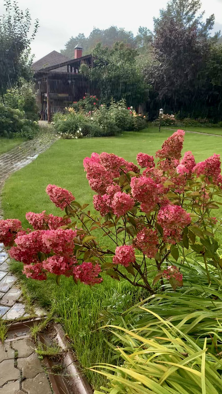 FB4D1E25-BC7F-4878-8CC7-92A492E01DF9