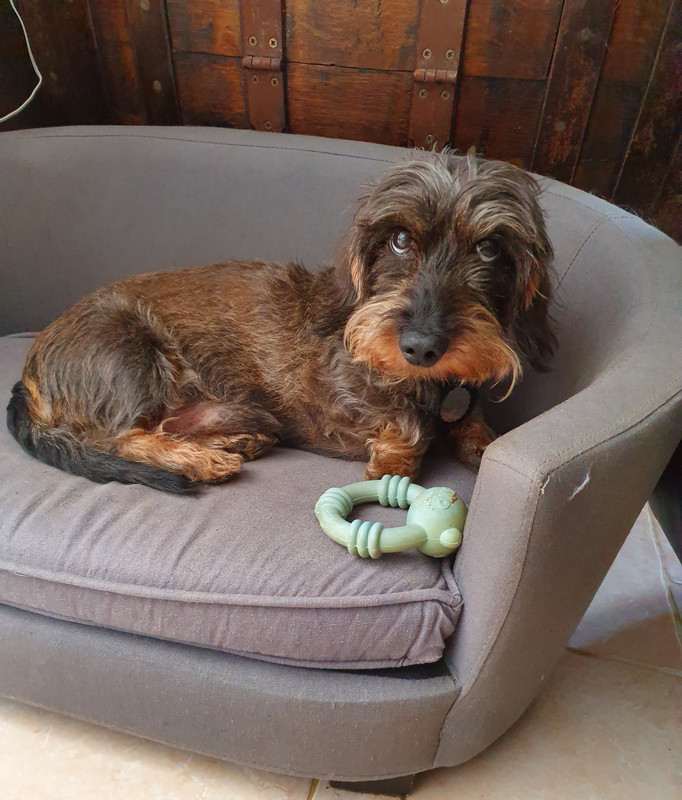 [Image: 20220711-070832.jpg]