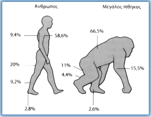 Evolutionary