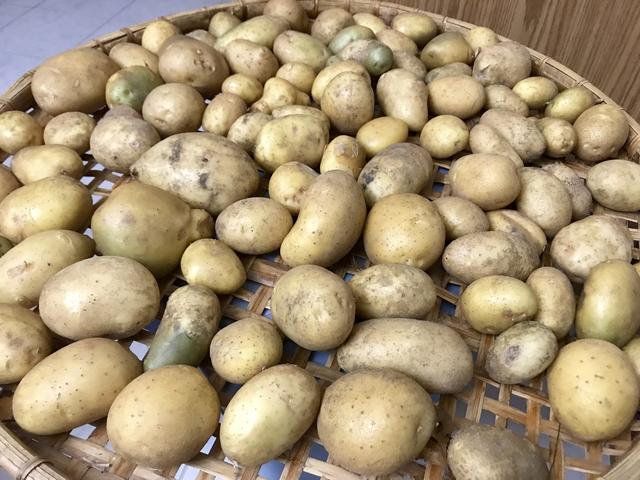 [Image: A5-D508-DA-F96-E-4-B30-AF7-F-374278-D2-B278.jpg]