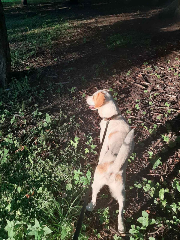 7DEE3A83-27B7-4A54-9C9A-97E8EDABB4AA