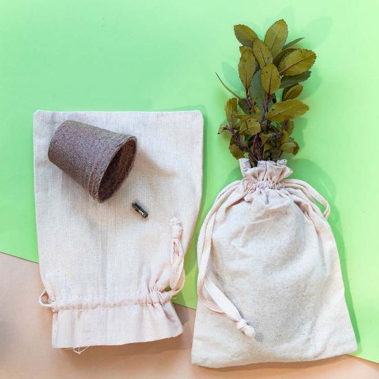 Maceta Biodegradable Ceres