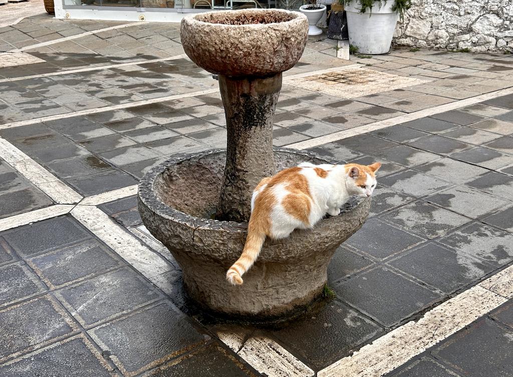 Жаркий сентябрь на побережье Тирренского моря. Жаркий сентябрь на побережье Тирренского моря.