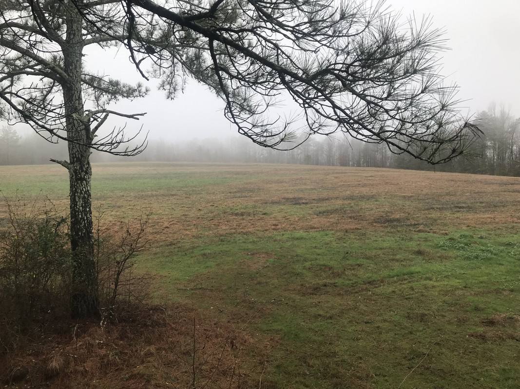 859A9BD8-DA56-48CA-BFDF-4F04B87C06EF