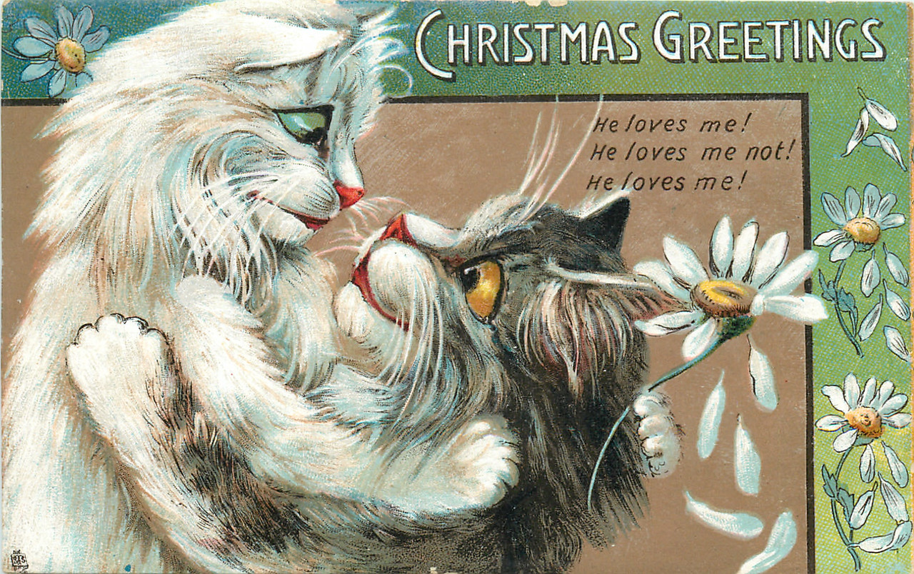 23-2012-02-25-14-43-59