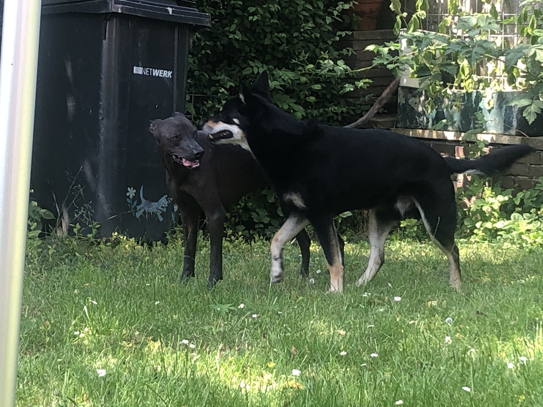 4DD1C995-2F19-4556-BC1D-40A7FB03EFB0