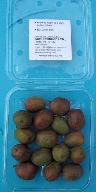 Red Kiwilicious open box