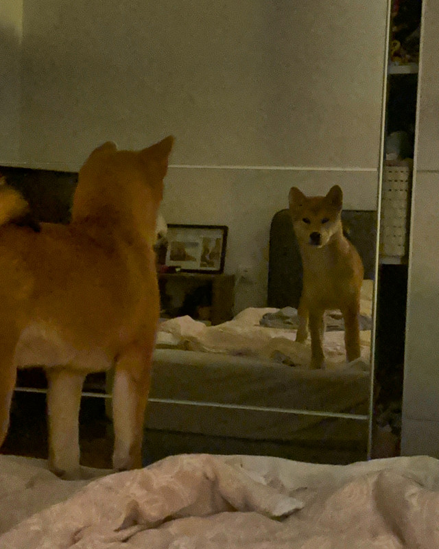 A1D6A9A0-5C24-4C75-9938-0CD851CE0E20