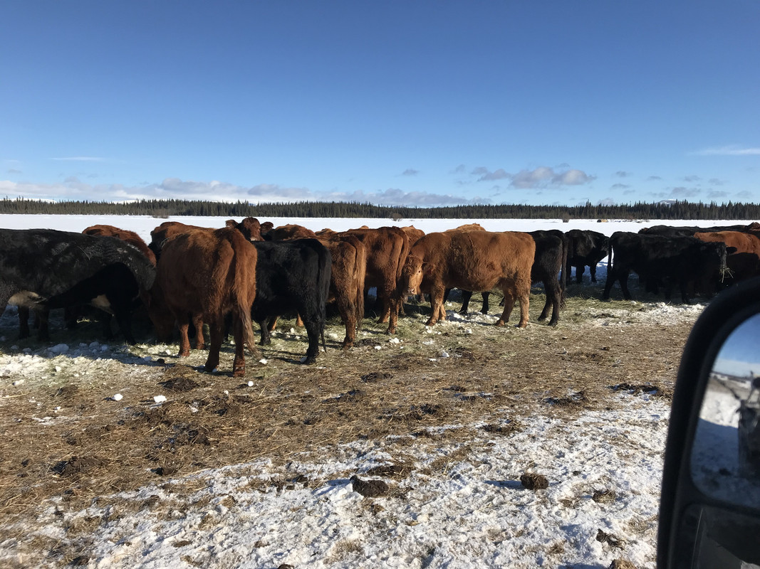 C3E0D991-5A7E-4028-A90F-7D21C0257324