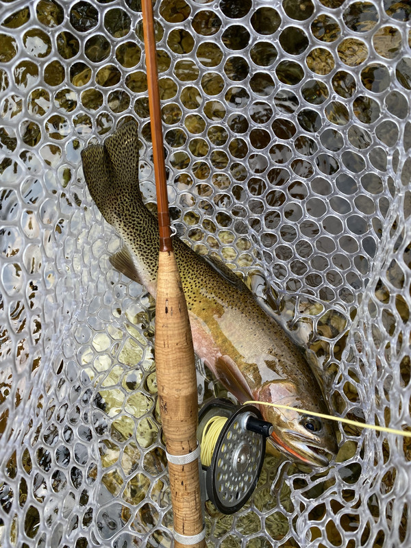 F0C77EB7-F5C0-4868-B28C-91BE31C386AA