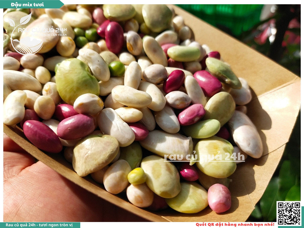 Đậu Mix Tươi 10