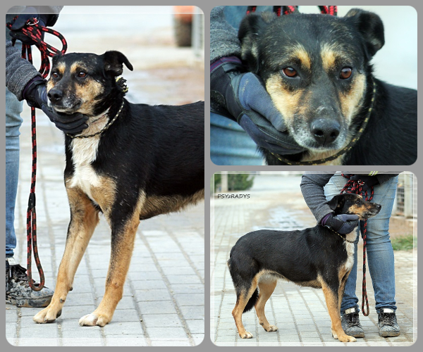 BeFunky-collage (24)