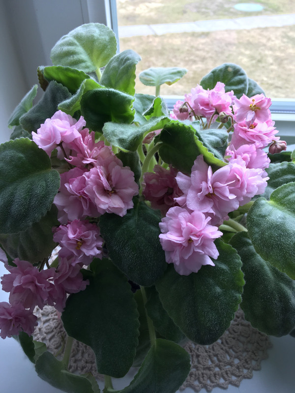 61D80436-379A-4C2A-9DA3-A14B37226D41