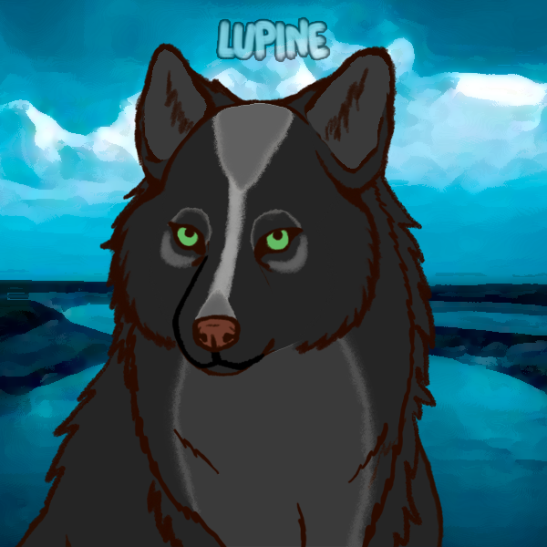 93BA6321-A24F-40D1-8CF8-1063C499FBA4