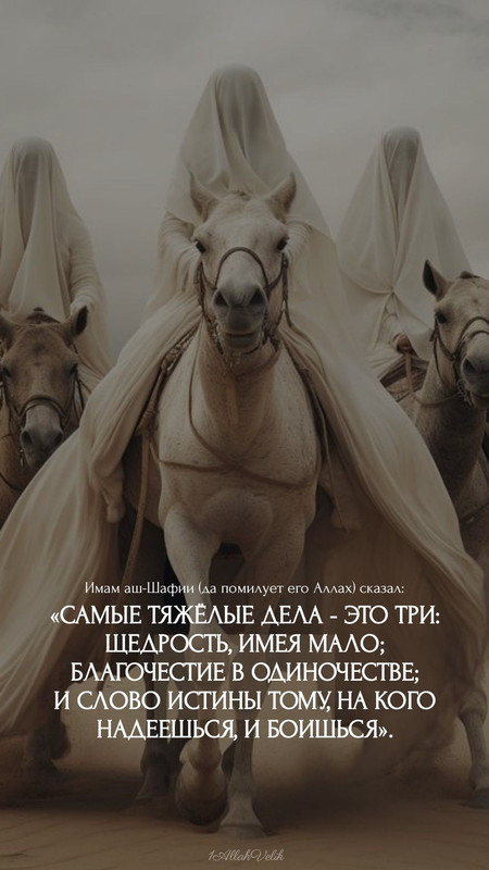 [Изображение: 69523aab9a0701cd1b8fe3dc383e5444.jpg]