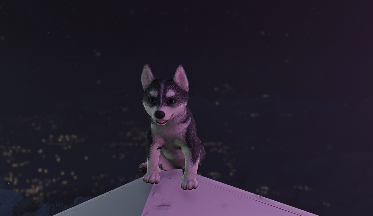 195a24d1e6ac487bed2fcd77bb87ab99