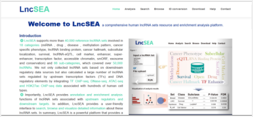 lncRNA注释和富集分析-1.png