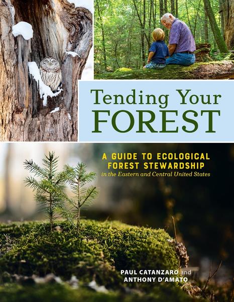 [Kép: Tending-Your-Forest-A-Guide-To-Ecologica...-State.jpg]
