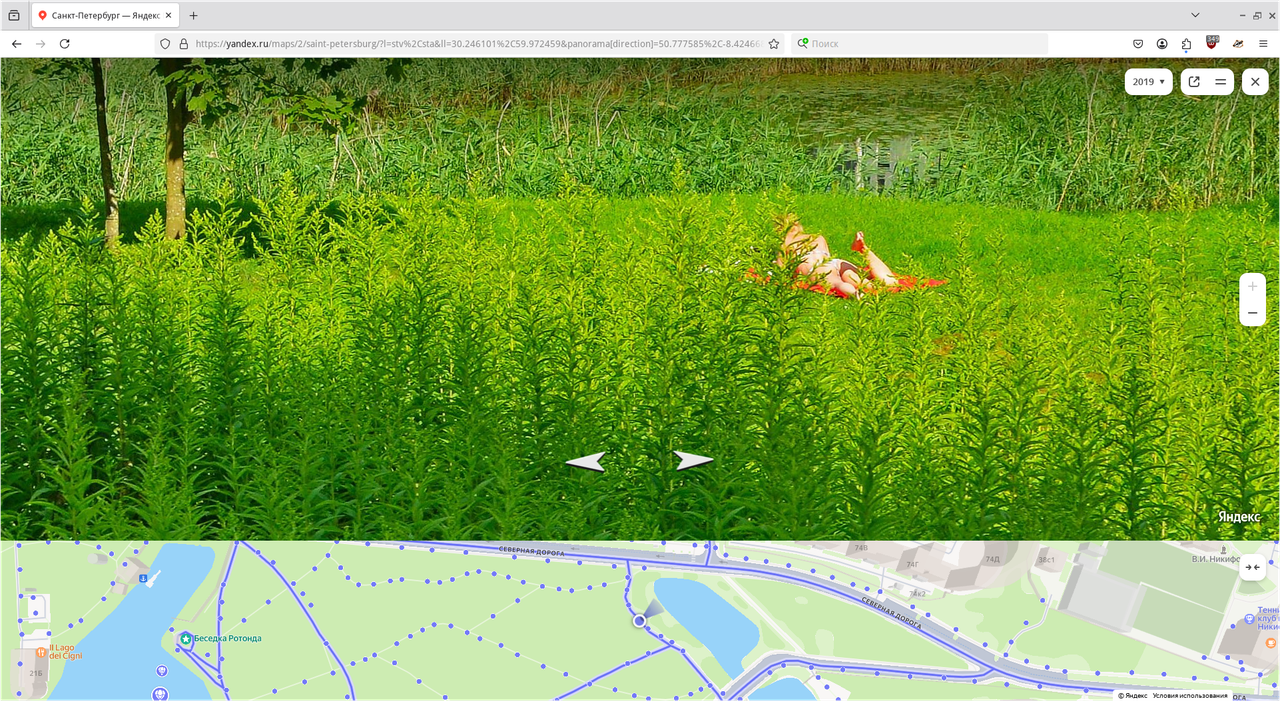 Снимок экрана_2025-07-31_22-49-50