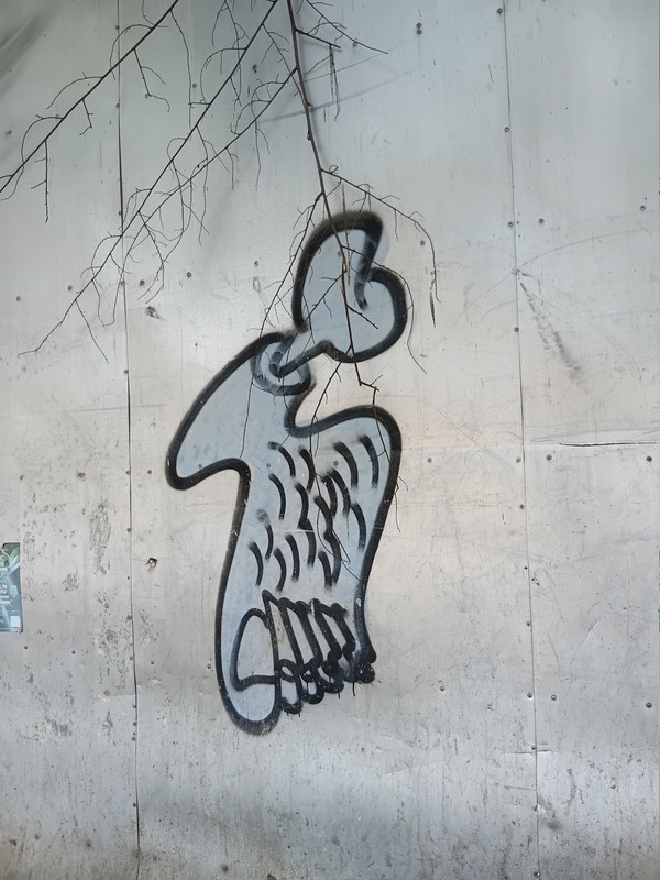 20260403 115051