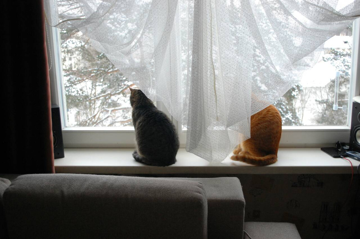 IMG-eb8259ec4e7873448cc62a65ce252e3f-V