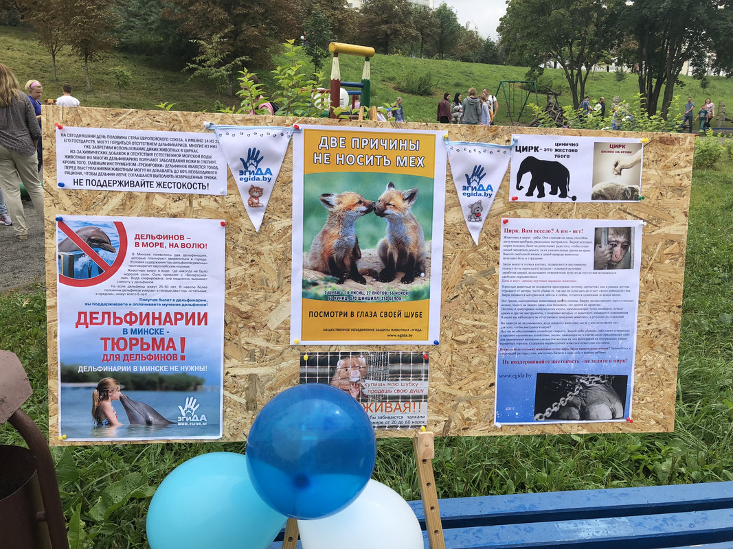 BC301E4C-E757-4CF3-99C1-0C2BA0724D09