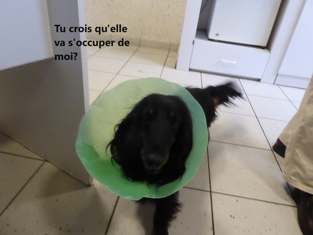 [Image: P1030980.jpg]