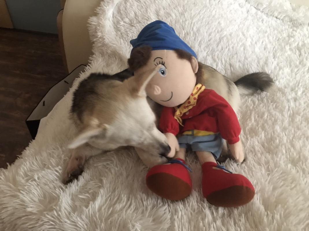 704A76C0-6F0F-4737-8B43-347EBDD96313