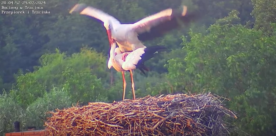 tojestesmyniegrzeczni