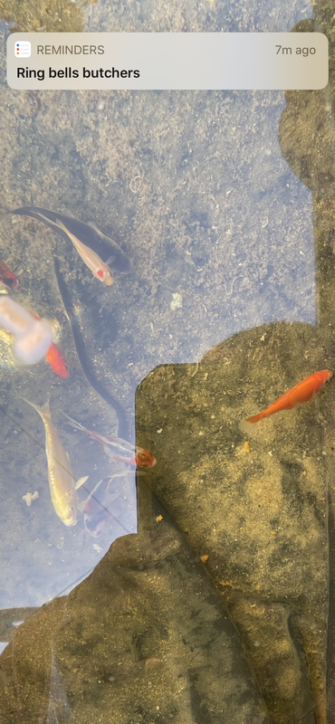 7FBB2CE6-716E-42FC-8B7F-2B6E311079E4