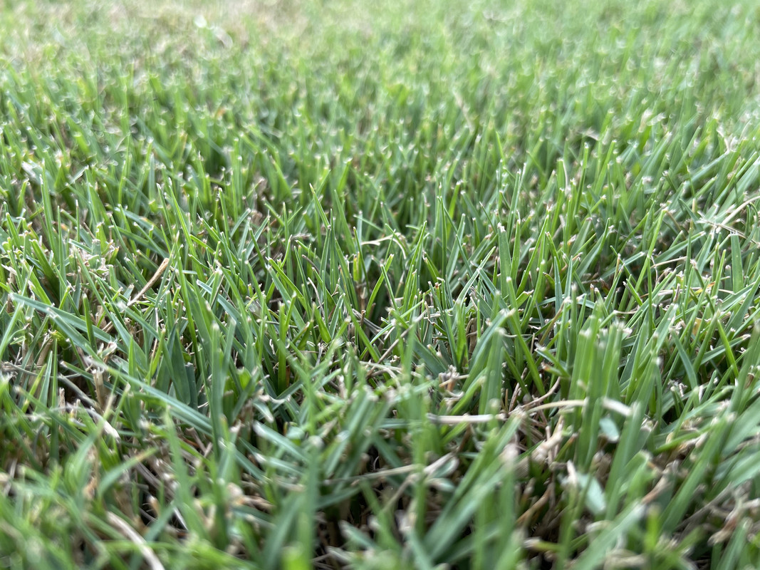 E2FB8C57-26D6-4E78-9812-D2142CA314AE