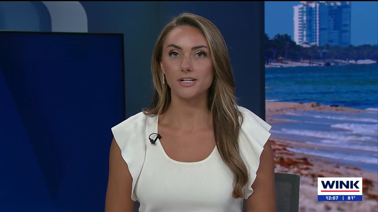 04.17 - 17.00.01 - The WINK Noon News  ᴺᵉʷ. Midday news update..ts_snapshot_12.55.314