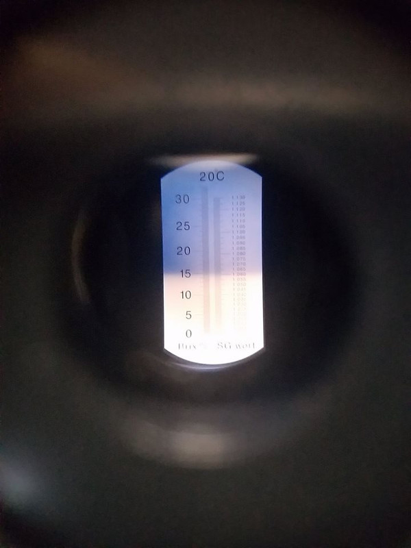 eye