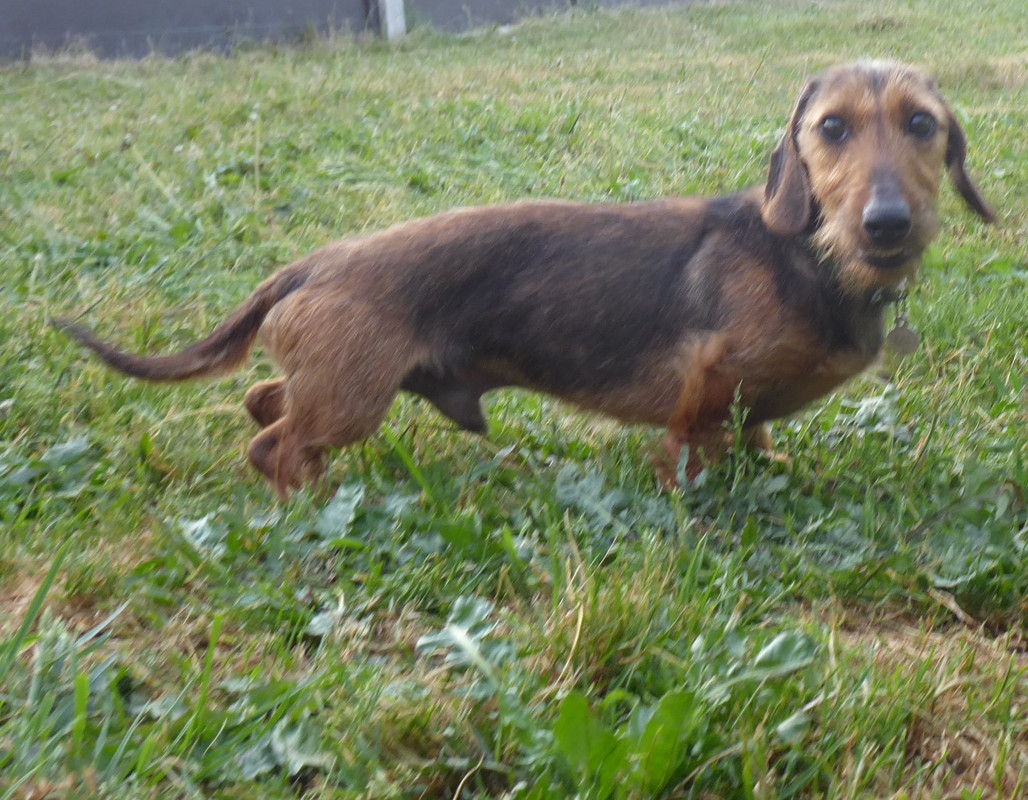 [Image: P1030253.jpg]