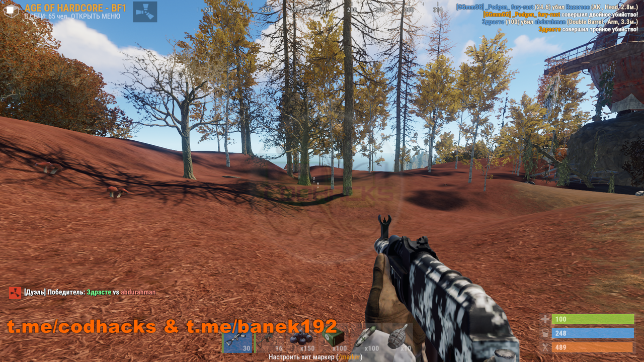 ch-Безымянный