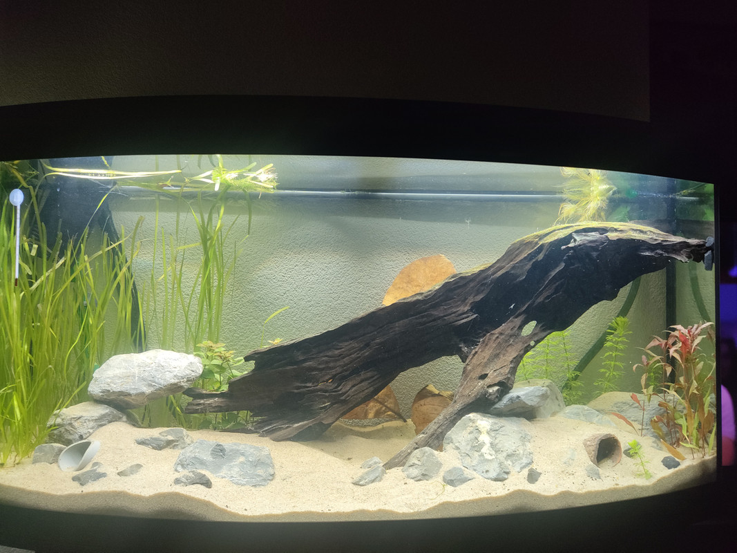 16921293821511638989337575043464