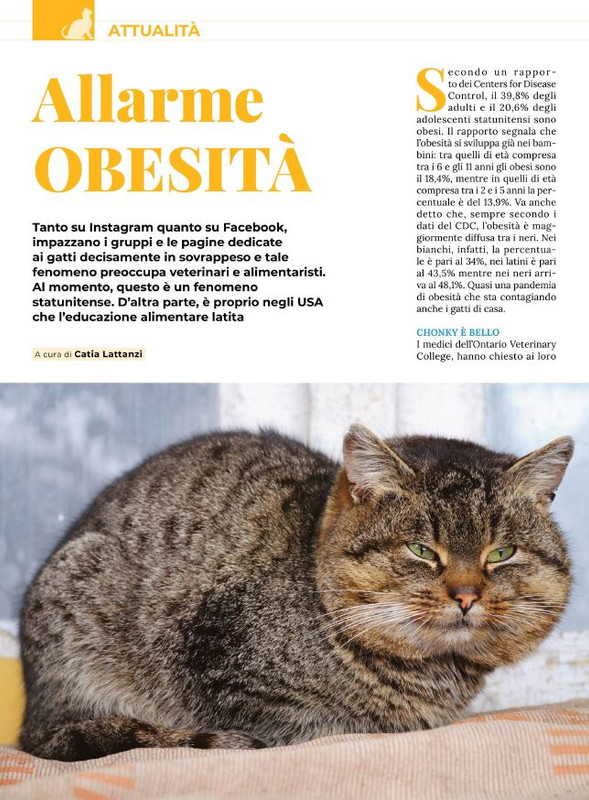 Ga Ma Ott-Nov 2021 (1)