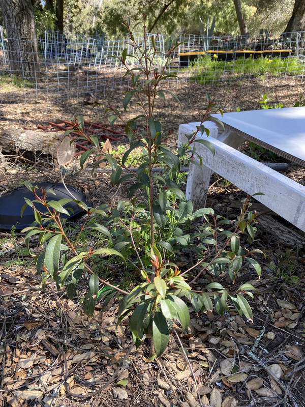 2DD038B4-7191-4AD5-9EF2-B3898C6056C9