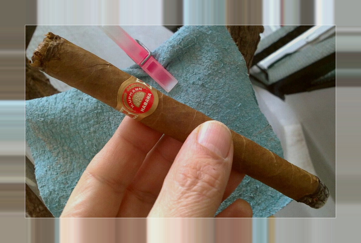 imageedit_3_2277150594