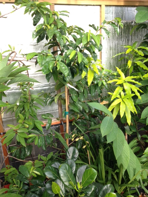 photo 4(5)